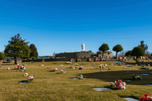 CARRUSEL-4-2-300x200